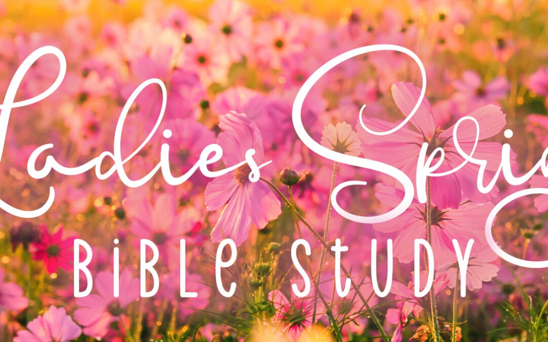 Ladies’ Bible Study
