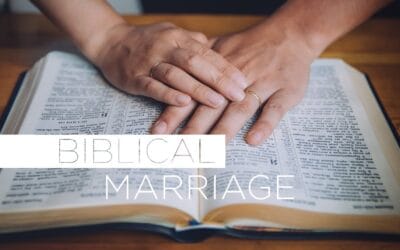 What is Marriage | Highlight