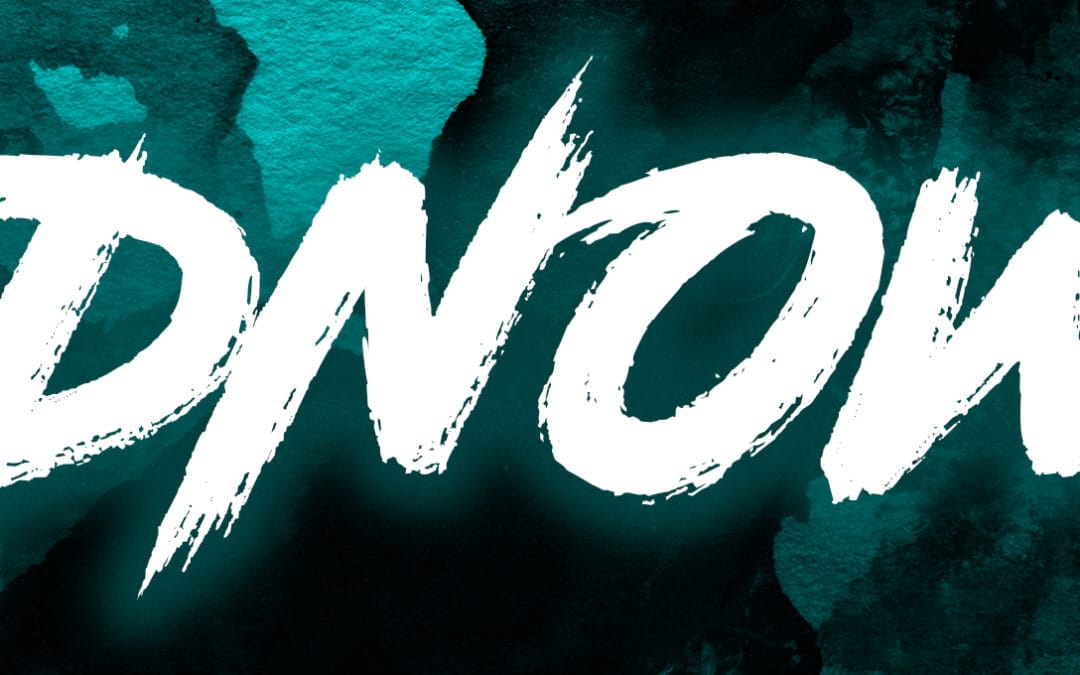 DNow – No Days Off!