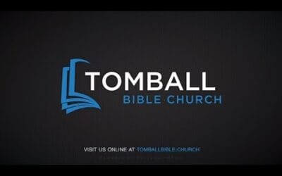 What Did Mary Know? | Highlight