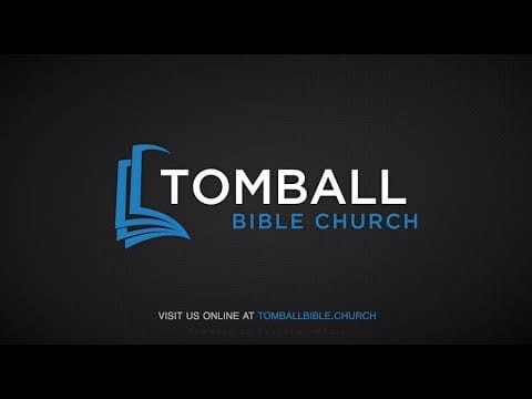 What Did Mary Know? | Highlight