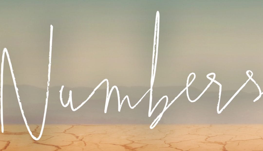 Ladies’ Bible Study