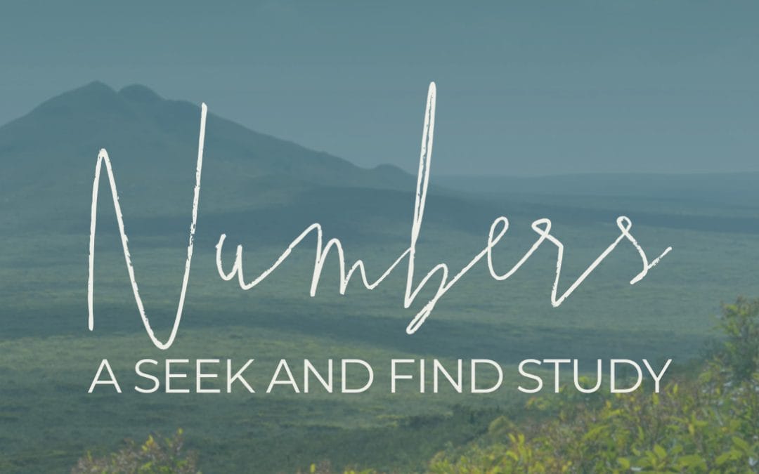 Ladies’ Bible Study