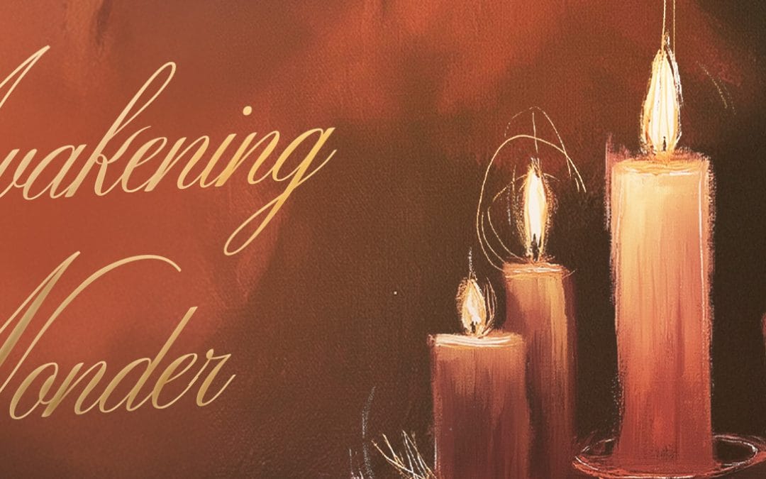 Ladies’ Bible Study